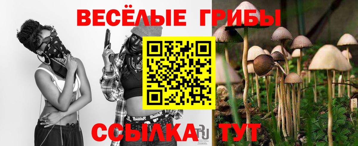 Ртищево  Галлюциногенные грибы MAGIC MUSHROOMS  Вход с VPN 
